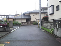 SN3T3642.jpg