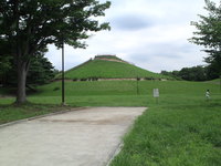 SN3T3826.jpg