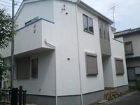 SN3T3910.jpg