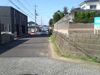 SN3T4113.jpg